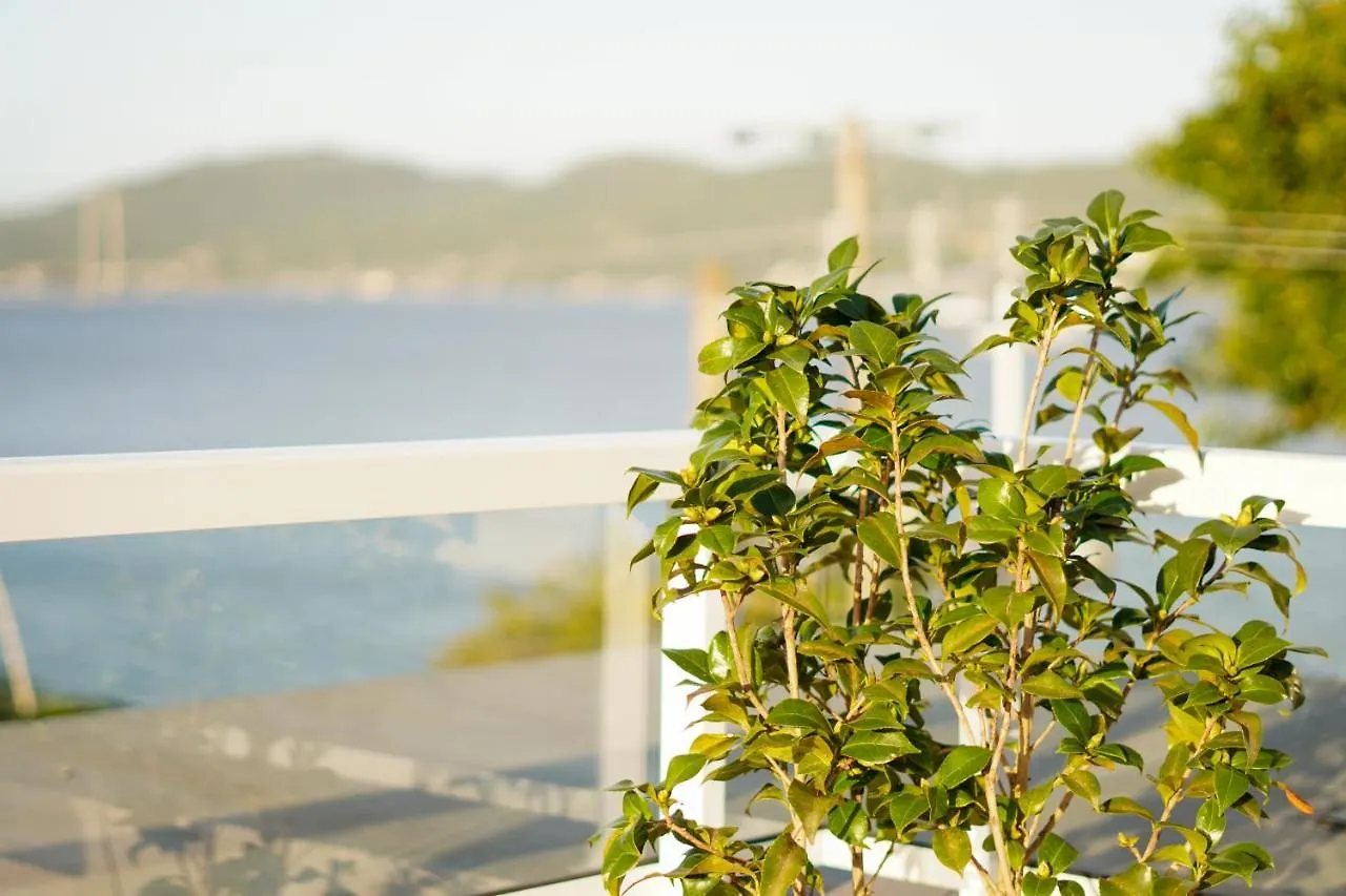 Costa Solar Lagoa Florianópolis Brasil